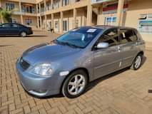 A picture of corolla