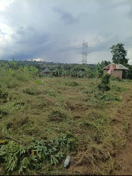 A picture of ANOTHER GOOD DEAL 50X100FTS 10M KIYANA NDEJJE ZONE 40X50fts 4