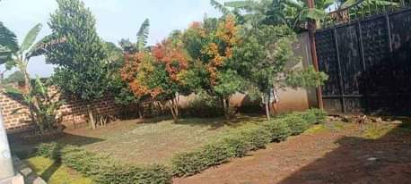 A picture of HOUSE FOR SALE IN MUKONO 70M UHX 3bedrooms 2bathrooms 2quarters