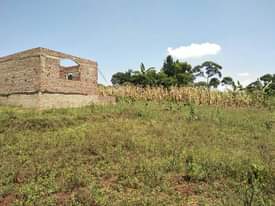 A picture of Jinja City Plots at Wakalenge very affordable price 0700125875
