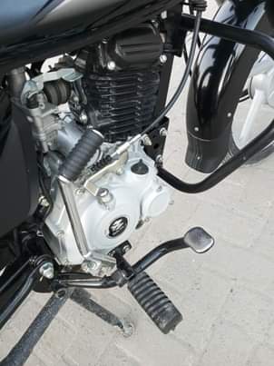 A picture of Boxer BM125 0744888214