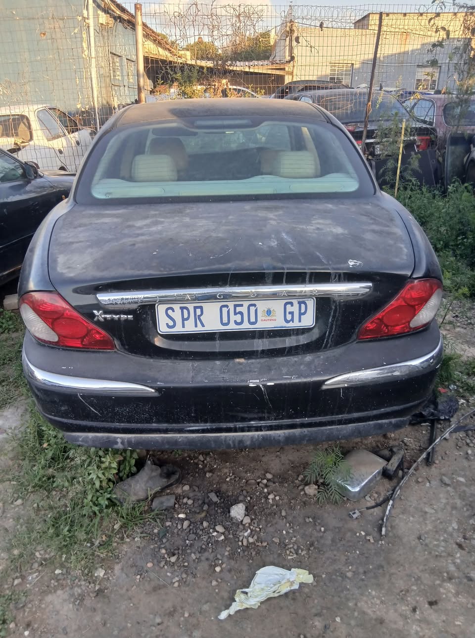 jaguar
