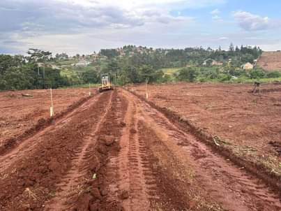 A picture of 50 100 Plots for sale