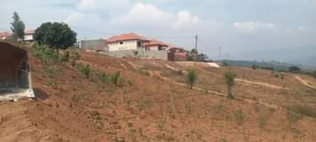 kinyinya accommodation
