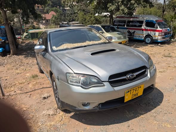 A picture of SUBARU ZURI