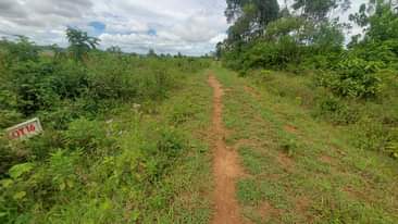 A picture of QUICK SALE KASANJE 50 by 100 titled