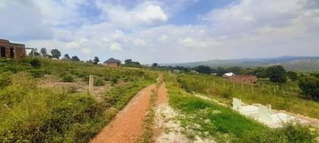 A picture of 50 100ft titled plots at our kakiri kikugi Hillview estate