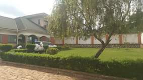 A picture of Ugent money the price reducet from 280m to 230m House