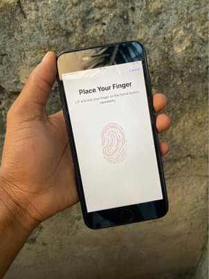 A picture of iPhone 7 Plus