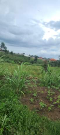 A picture of Plots for sale