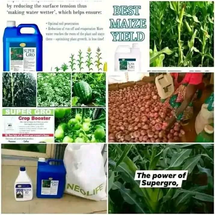 fertilizer