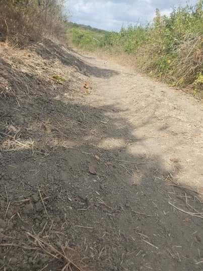 A picture of shamba linauzwa lipo bagamoyo kiwangwa bago