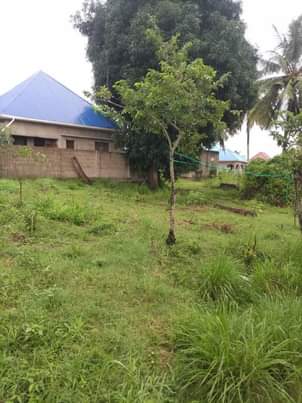 A picture of Kiwanja kiwanja