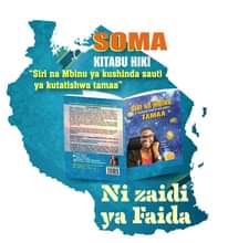 A picture of SIRI NA MBINU YA KUISHINDA SAUTI YA KUKATISHWA TAMAA