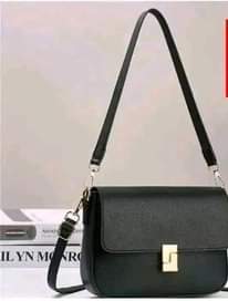 A picture of Ladies bags
