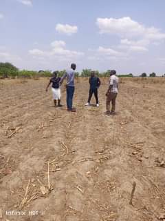 mwembeshi