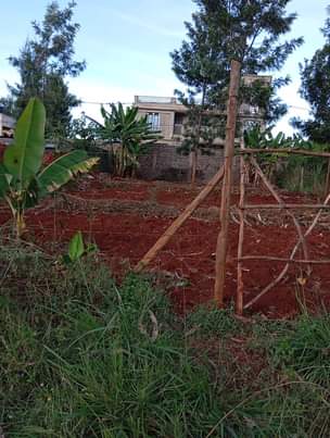 Lands &.