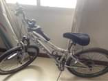 A picture of RALEIGH bicycles