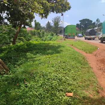 A picture of 1 acre