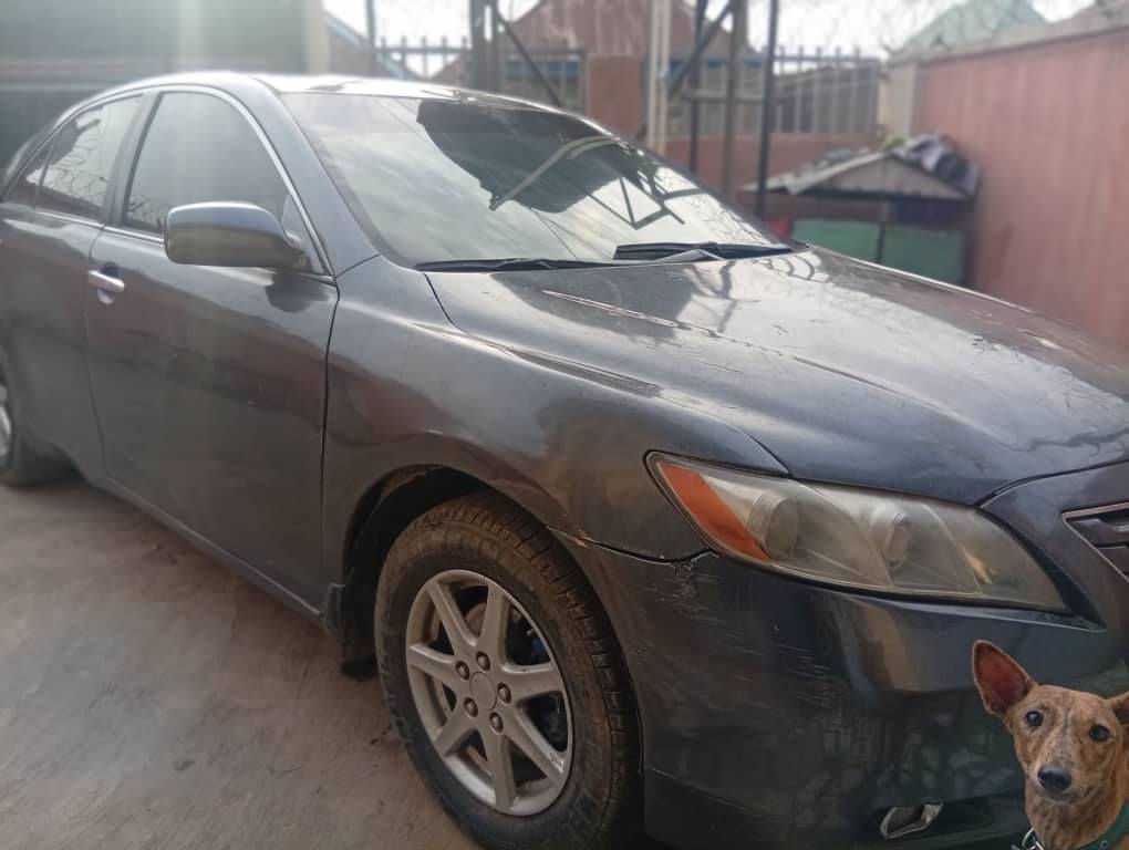 A picture of Camry muscle 08
