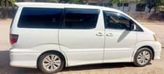A picture of Alphard