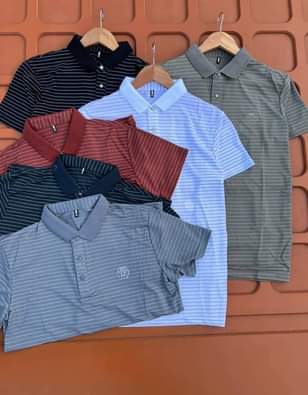 A picture of Tshirt