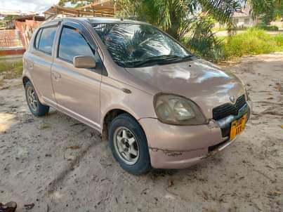 A picture of Vitz