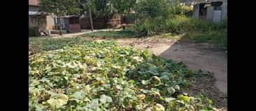 A picture of Nyumba inauzwa na eneo lake