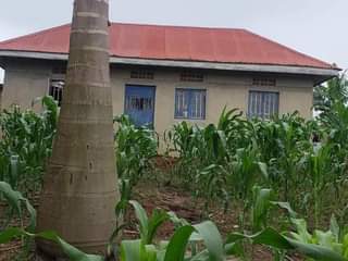 houses matugga