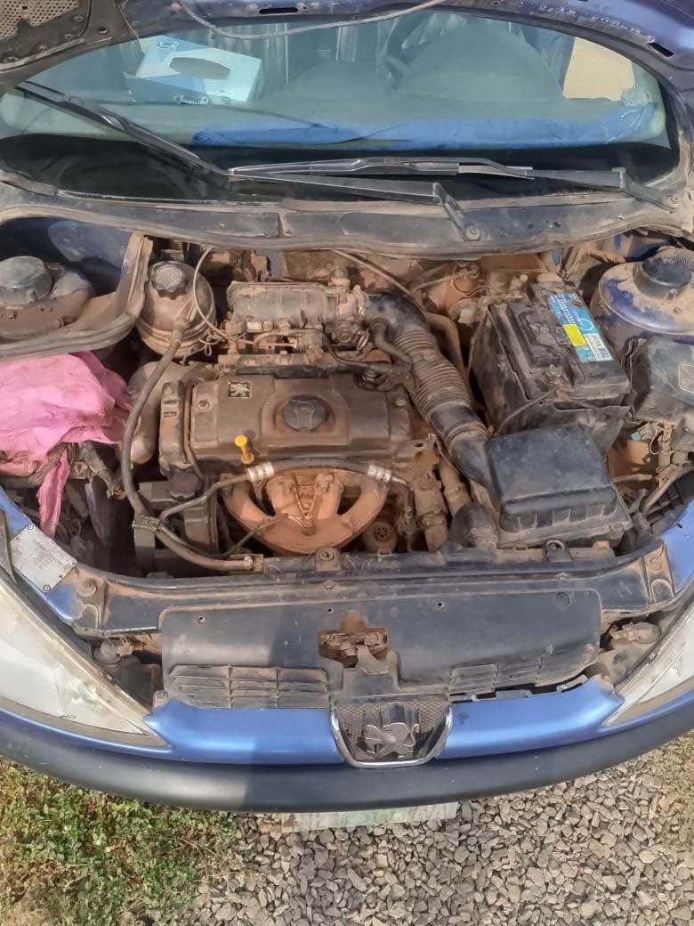 A picture of Super sharp distress Peugeot 206 with untempered engine and manual