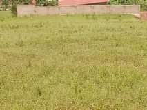 A picture of Cyino cyibanza cyiragurishwa cyiherereye bumbogo Musave