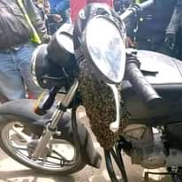 A picture of ASUMAN