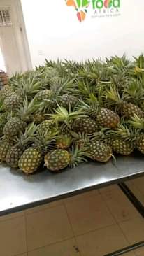 A picture of Mbegu za mazao