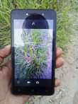A picture of Tecno f1 mpyaaaa gb8 ram1