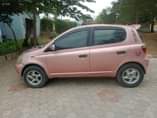 A picture of Vitz