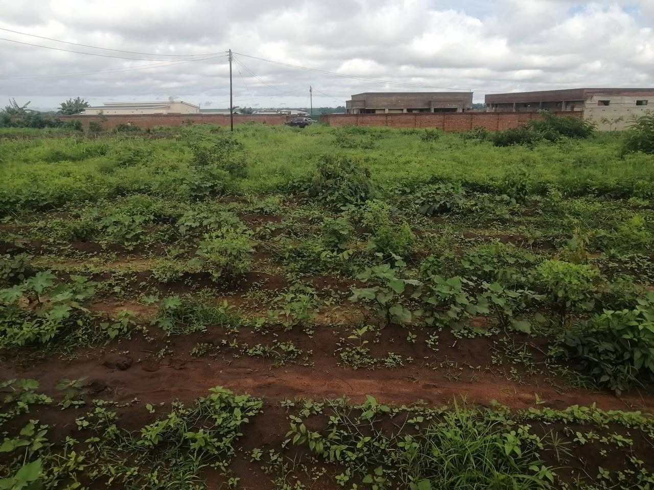 land