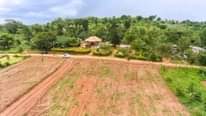 A picture of OWN PROPERTY OWN WEALTH 256750485024