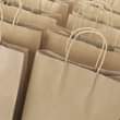 A picture of Massile Paper Bags