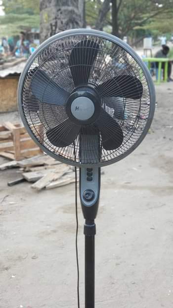 fans
