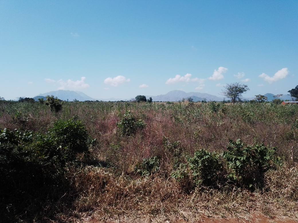 land