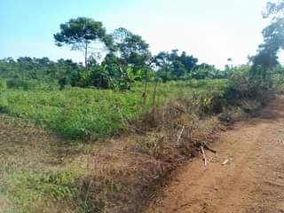A picture of  2Arces for sale at Nsanja mukono katosi road..good for
