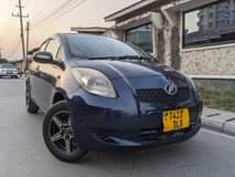 A picture of Vitz