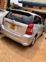 A picture of Toyota wish