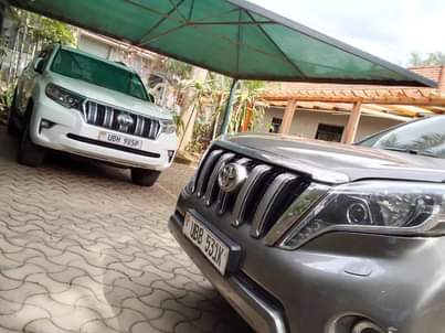 car hire