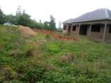 A picture of CHEAP PLOTS