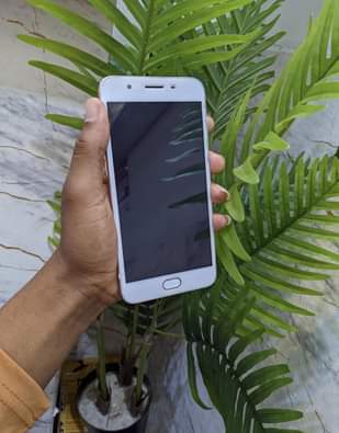 A picture of Oppo