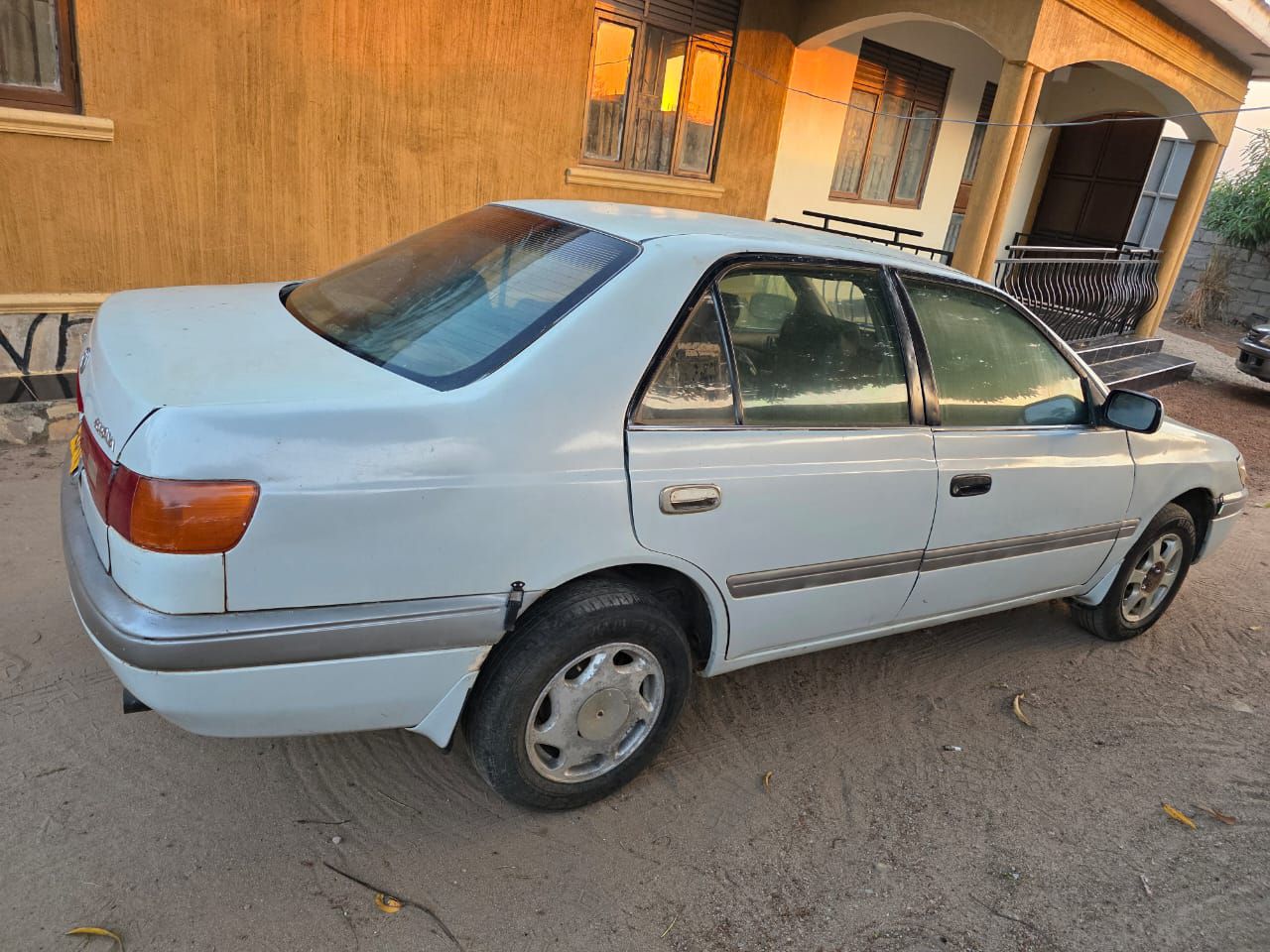 A picture of Premio