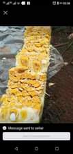 A picture of miche ya matunda ya mda mfupi