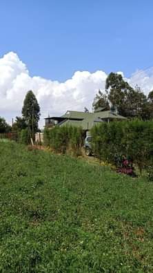 Issar M.