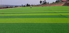 A picture of 256705881025 Grass carpets